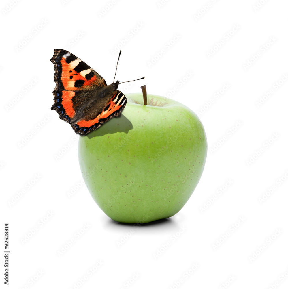 Poster Schmetterling auf Grünem Apfel