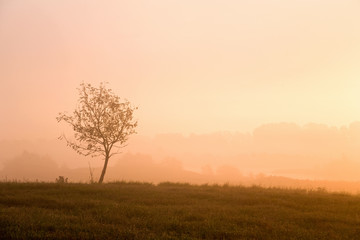 Fototapeta premium Misty morning sunrise