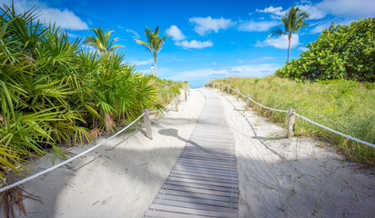 Path to the beach