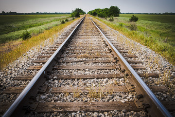 Railway, Railroad, Train Tracks, With Green Pasture Early Mornin