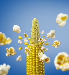 corncob explodes and produces popcorn
healthy vegetarian food