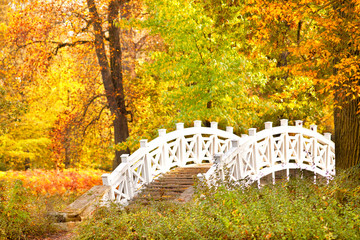 bunte Blätter im Park