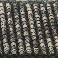 Old covered roof of tiles spoilt in the time and covers of moss