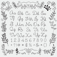 Fototapeta na wymiar Hand Drawn English Alphabet Letters and Numbers, Florals