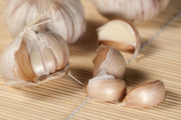Garlic