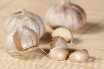 Garlic