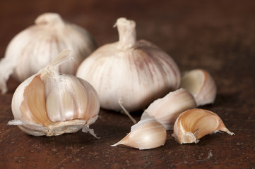 Garlic