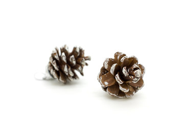 Brown pine cone.
