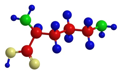 Molecular structure of ornithine