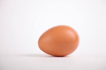  chicken egg
