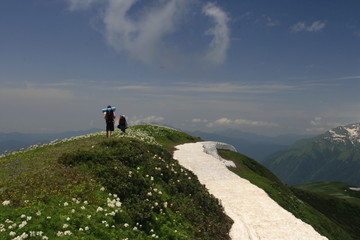 People tourists hiking in mountains, traveling