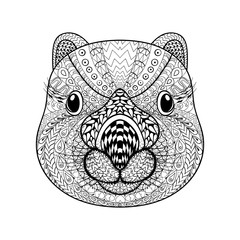 Hand drawn tribal Wombat face, animal totem for adult Coloring P