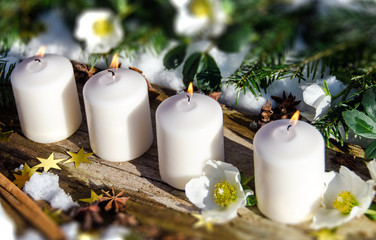 Obraz na płótnie Canvas Frohe Weihnachten, Vorweihnachtszeit: Adventsgesteck mit Kerzen und Christrosen im Schnee :)