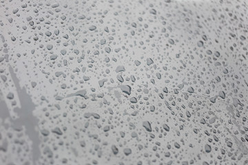 Rain drops on glass background.