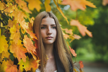 Naklejka na ściany i meble Autumn portrait of a girl in maple leaves 3667.