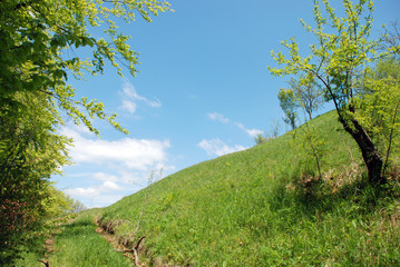 Fototapeta na wymiar Background of a spring mountain landscape.