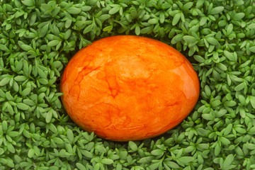 gefärbtes Ei auf Kresse