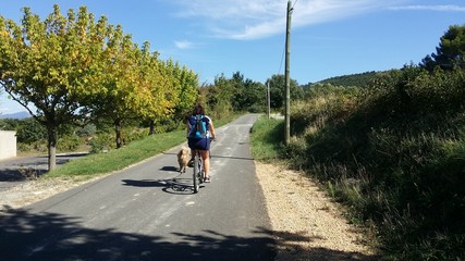 Obraz premium Vélo