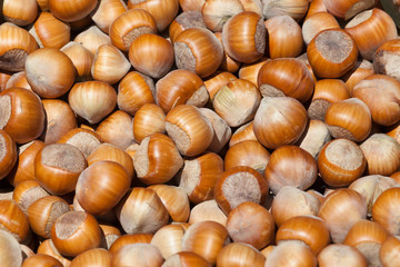 the background consisting of a set  nuts