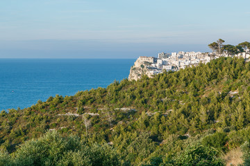 General view of coast city with sea and mountains