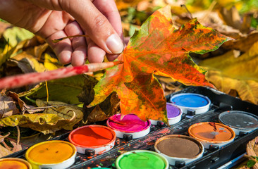 farbenfroher Herbst