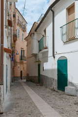 Old city street view with various houses and details