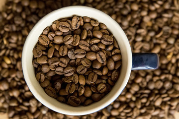 Coffee cup and coffee beans. Close up