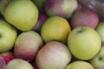 Mcintosh Apples