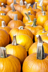 Display Pumpkins