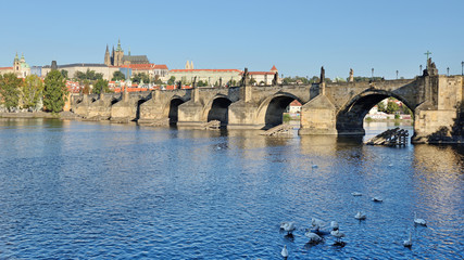 Charles Bridge in Prague, Czech Republic - obrazy, fototapety, plakaty