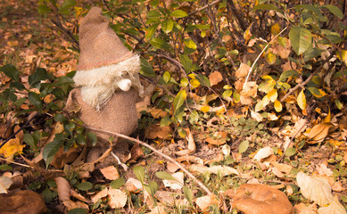 the magic little man from a sacking in the autumn wood on fallen