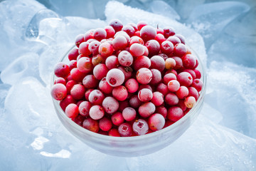 frozen cranberry in bowl on ice