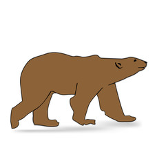 Obraz na płótnie Canvas Grizzle bear