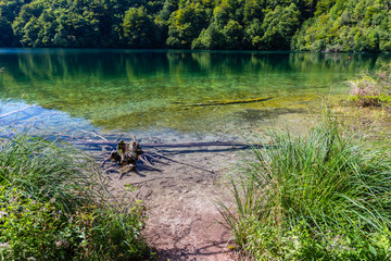 Virgin nature of Plitvice lakes national park, Croatia