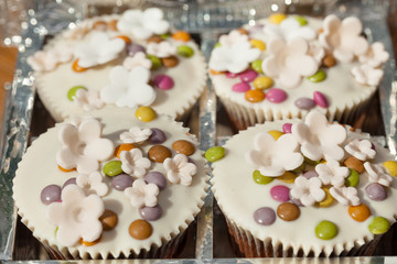 Cupcakes - kleine süße Kuchen