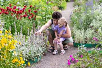 Dad with his little daughter looking at flowers in the park