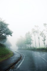霧の高原の道/霧に包まれる高原の中の道