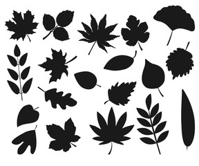 Fototapeta premium Collection of leaf silhouettes