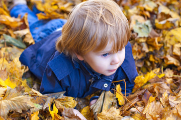 Toddler blond boy with blue eyes lays on bed of autumn fallen leaves