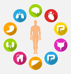 Silhouette of Male and Internal Human Organs