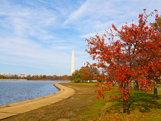 Wasington Monument and Tidal Basin in autumn. The Monument surrounded by trees in the colorful foliage around the Tidal Basin during the Fall in DC, USA.