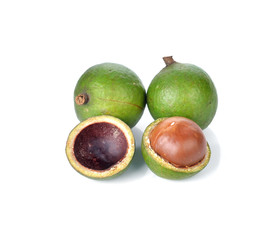 Fresh macadamia nuts on white background