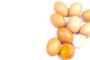 egg