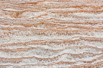 Obraz na płótnie Canvas Textured travertine terracettes of the bottom of Dryad Springs at Mammoth in Yellowstone National Park.