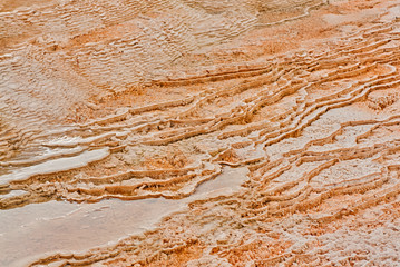 A landscape of the textured tiers of Dryad Springs at Mammoth in Yellowstone National Park.