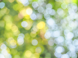 Green, yellow and white bokeh from nature background in the bright day.