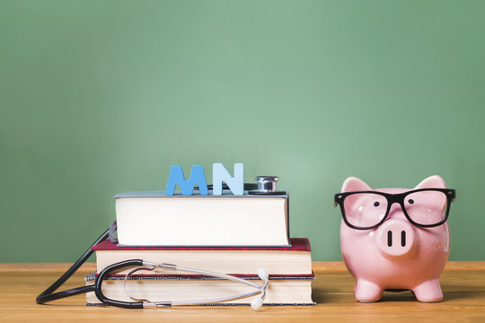 Master Of Nursing MN Theme With Pink Piggy Bank