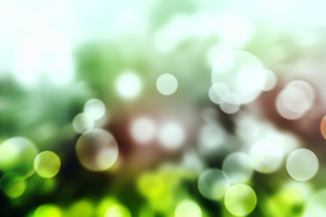 Abstract bokeh green color background texture.