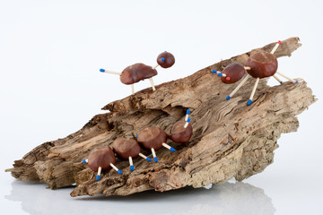 Kastanienfiguren auf Wurzel vor neutralem Hintergrund