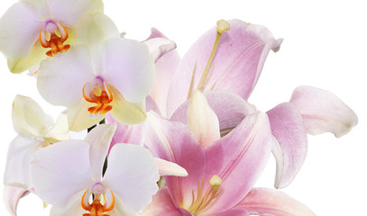 Fototapeta na wymiar Bouquet lily with orchid